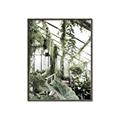Picture of Greenhouse Serenity  _GroupedProduct_Rectangle_Portrait_Photography _GroupedProduct_Rectangle_Portrait_Canvas_Framed_