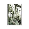 Picture of Greenhouse Serenity  _GroupedProduct_Rectangle_Portrait_Photography _GroupedProduct_Rectangle_Portrait_Canvas_Framed_
