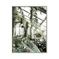 Picture of Greenhouse Serenity  _GroupedProduct_Rectangle_Portrait_Photography _GroupedProduct_Rectangle_Portrait_Canvas_Framed_