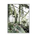 Picture of Greenhouse Serenity  _GroupedProduct_Rectangle_Portrait_Photography _GroupedProduct_Rectangle_Portrait_Canvas_Framed_