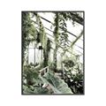 Picture of Greenhouse Serenity  _GroupedProduct_Rectangle_Portrait_Photography _GroupedProduct_Rectangle_Portrait_Canvas_Framed_