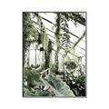 Picture of Greenhouse Serenity  _GroupedProduct_Rectangle_Portrait_Photography _GroupedProduct_Rectangle_Portrait_Canvas_Framed_