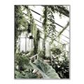 Picture of Greenhouse Serenity  _GroupedProduct_Rectangle_Portrait_Photography _GroupedProduct_Rectangle_Portrait_Canvas_Framed_