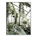 Picture of Greenhouse Serenity  _GroupedProduct_Rectangle_Portrait_Photography _GroupedProduct_Rectangle_Portrait_Canvas_Framed_