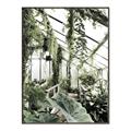 Picture of Greenhouse Serenity  _GroupedProduct_Rectangle_Portrait_Photography _GroupedProduct_Rectangle_Portrait_Canvas_Framed_