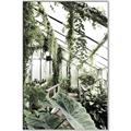 Picture of Greenhouse Serenity  _GroupedProduct_Rectangle_Portrait_Photography _GroupedProduct_Rectangle_Portrait_Canvas_Framed_