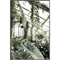 Picture of Greenhouse Serenity  _GroupedProduct_Rectangle_Portrait_Photography _GroupedProduct_Rectangle_Portrait_Canvas_Framed_