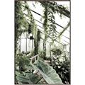 Picture of Greenhouse Serenity  _GroupedProduct_Rectangle_Portrait_Photography _GroupedProduct_Rectangle_Portrait_Canvas_Framed_
