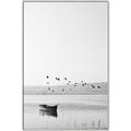 Picture of Birds over the Water _GroupedProduct_Rectangle_Portrait_Photography _GroupedProduct_Rectangle_Portrait_Canvas_Framed_