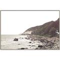Picture of Rocky Ocean Shore _GroupedProduct_Rectangle_Landscape_Photography _GroupedProduct_Rectangle_Landscape_Canvas_Framed_