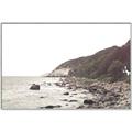 Picture of Rocky Ocean Shore _GroupedProduct_Rectangle_Landscape_Photography _GroupedProduct_Rectangle_Landscape_Canvas_Framed_
