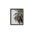 Picture of Canary Palm _GroupedProduct_Rectangle_Portrait_Photography _GroupedProduct_Rectangle_Portrait_Canvas_Framed_
