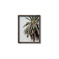 Picture of Canary Palm _GroupedProduct_Rectangle_Portrait_Photography _GroupedProduct_Rectangle_Portrait_Canvas_Framed_