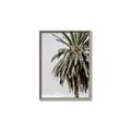 Picture of Canary Palm _GroupedProduct_Rectangle_Portrait_Photography _GroupedProduct_Rectangle_Portrait_Canvas_Framed_