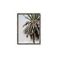 Picture of Canary Palm _GroupedProduct_Rectangle_Portrait_Photography _GroupedProduct_Rectangle_Portrait_Canvas_Framed_