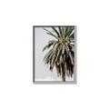 Picture of Canary Palm _GroupedProduct_Rectangle_Portrait_Photography _GroupedProduct_Rectangle_Portrait_Canvas_Framed_