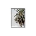 Picture of Canary Palm _GroupedProduct_Rectangle_Portrait_Photography _GroupedProduct_Rectangle_Portrait_Canvas_Framed_