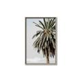 Picture of Canary Palm _GroupedProduct_Rectangle_Portrait_Photography _GroupedProduct_Rectangle_Portrait_Canvas_Framed_