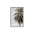 Picture of Canary Palm _GroupedProduct_Rectangle_Portrait_Photography _GroupedProduct_Rectangle_Portrait_Canvas_Framed_