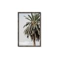 Picture of Canary Palm _GroupedProduct_Rectangle_Portrait_Photography _GroupedProduct_Rectangle_Portrait_Canvas_Framed_