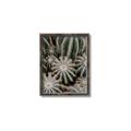 Picture of Cactus Zone _GroupedProduct_Rectangle_Portrait_Photography _GroupedProduct_Rectangle_Portrait_Canvas_Framed_
