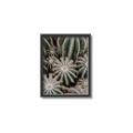 Picture of Cactus Zone _GroupedProduct_Rectangle_Portrait_Photography _GroupedProduct_Rectangle_Portrait_Canvas_Framed_