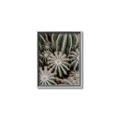 Picture of Cactus Zone _GroupedProduct_Rectangle_Portrait_Photography _GroupedProduct_Rectangle_Portrait_Canvas_Framed_