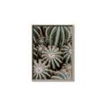 Picture of Cactus Zone _GroupedProduct_Rectangle_Portrait_Photography _GroupedProduct_Rectangle_Portrait_Canvas_Framed_
