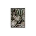 Picture of Cactus Zone _GroupedProduct_Rectangle_Portrait_Photography _GroupedProduct_Rectangle_Portrait_Canvas_Framed_