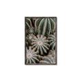 Picture of Cactus Zone _GroupedProduct_Rectangle_Portrait_Photography _GroupedProduct_Rectangle_Portrait_Canvas_Framed_