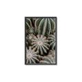 Picture of Cactus Zone _GroupedProduct_Rectangle_Portrait_Photography _GroupedProduct_Rectangle_Portrait_Canvas_Framed_