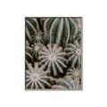 Picture of Cactus Zone _GroupedProduct_Rectangle_Portrait_Photography _GroupedProduct_Rectangle_Portrait_Canvas_Framed_