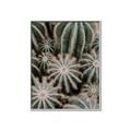 Picture of Cactus Zone _GroupedProduct_Rectangle_Portrait_Photography _GroupedProduct_Rectangle_Portrait_Canvas_Framed_