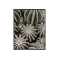 Picture of Cactus Zone _GroupedProduct_Rectangle_Portrait_Photography _GroupedProduct_Rectangle_Portrait_Canvas_Framed_