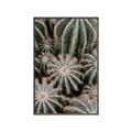 Picture of Cactus Zone _GroupedProduct_Rectangle_Portrait_Photography _GroupedProduct_Rectangle_Portrait_Canvas_Framed_
