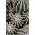 Picture of Cactus Zone _GroupedProduct_Rectangle_Portrait_Photography _GroupedProduct_Rectangle_Portrait_Canvas_Framed_