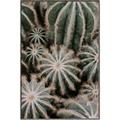 Picture of Cactus Zone _GroupedProduct_Rectangle_Portrait_Photography _GroupedProduct_Rectangle_Portrait_Canvas_Framed_