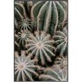 Picture of Cactus Zone _GroupedProduct_Rectangle_Portrait_Photography _GroupedProduct_Rectangle_Portrait_Canvas_Framed_