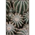 Picture of Cactus Zone _GroupedProduct_Rectangle_Portrait_Photography _GroupedProduct_Rectangle_Portrait_Canvas_Framed_