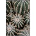Picture of Cactus Zone _GroupedProduct_Rectangle_Portrait_Photography _GroupedProduct_Rectangle_Portrait_Canvas_Framed_