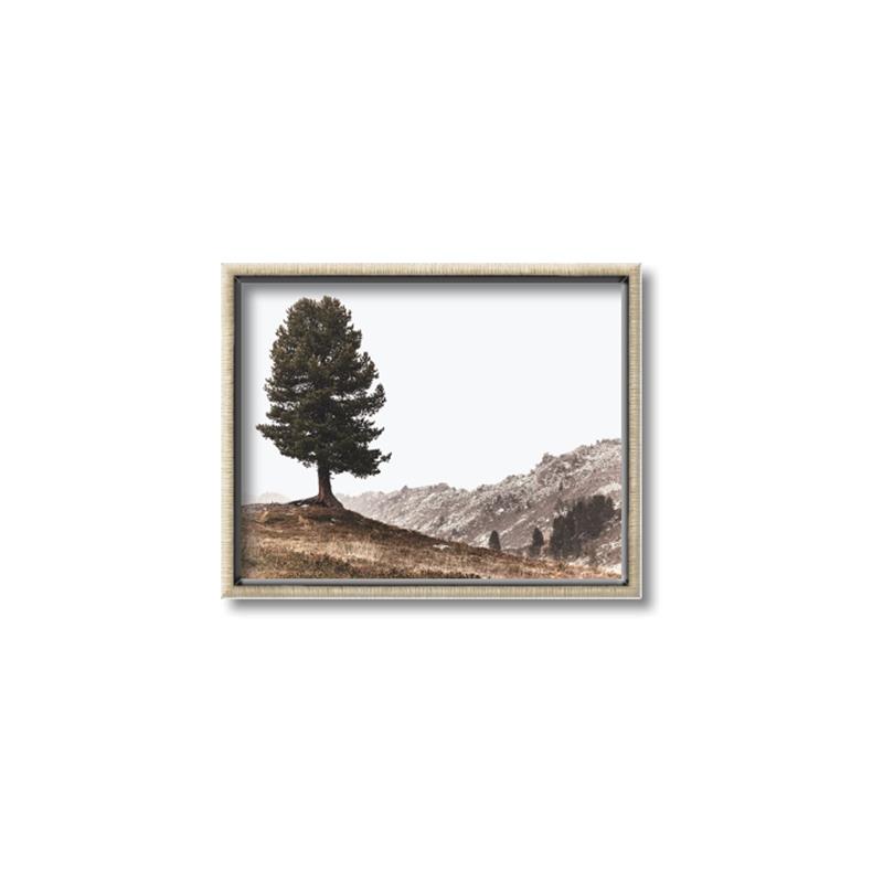 Picture of Tree on a Hill _GroupedProduct_Rectangle_Landscape_Photography _GroupedProduct_Rectangle_Landscape_Canvas_Framed_