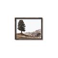 Picture of Tree on a Hill _GroupedProduct_Rectangle_Landscape_Photography _GroupedProduct_Rectangle_Landscape_Canvas_Framed_