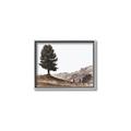 Picture of Tree on a Hill _GroupedProduct_Rectangle_Landscape_Photography _GroupedProduct_Rectangle_Landscape_Canvas_Framed_