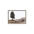 Picture of Tree on a Hill _GroupedProduct_Rectangle_Landscape_Photography _GroupedProduct_Rectangle_Landscape_Canvas_Framed_