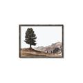 Picture of Tree on a Hill _GroupedProduct_Rectangle_Landscape_Photography _GroupedProduct_Rectangle_Landscape_Canvas_Framed_