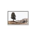 Picture of Tree on a Hill _GroupedProduct_Rectangle_Landscape_Photography _GroupedProduct_Rectangle_Landscape_Canvas_Framed_