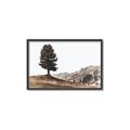 Picture of Tree on a Hill _GroupedProduct_Rectangle_Landscape_Photography _GroupedProduct_Rectangle_Landscape_Canvas_Framed_