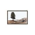 Picture of Tree on a Hill _GroupedProduct_Rectangle_Landscape_Photography _GroupedProduct_Rectangle_Landscape_Canvas_Framed_