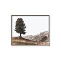Picture of Tree on a Hill _GroupedProduct_Rectangle_Landscape_Photography _GroupedProduct_Rectangle_Landscape_Canvas_Framed_
