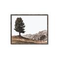 Picture of Tree on a Hill _GroupedProduct_Rectangle_Landscape_Photography _GroupedProduct_Rectangle_Landscape_Canvas_Framed_